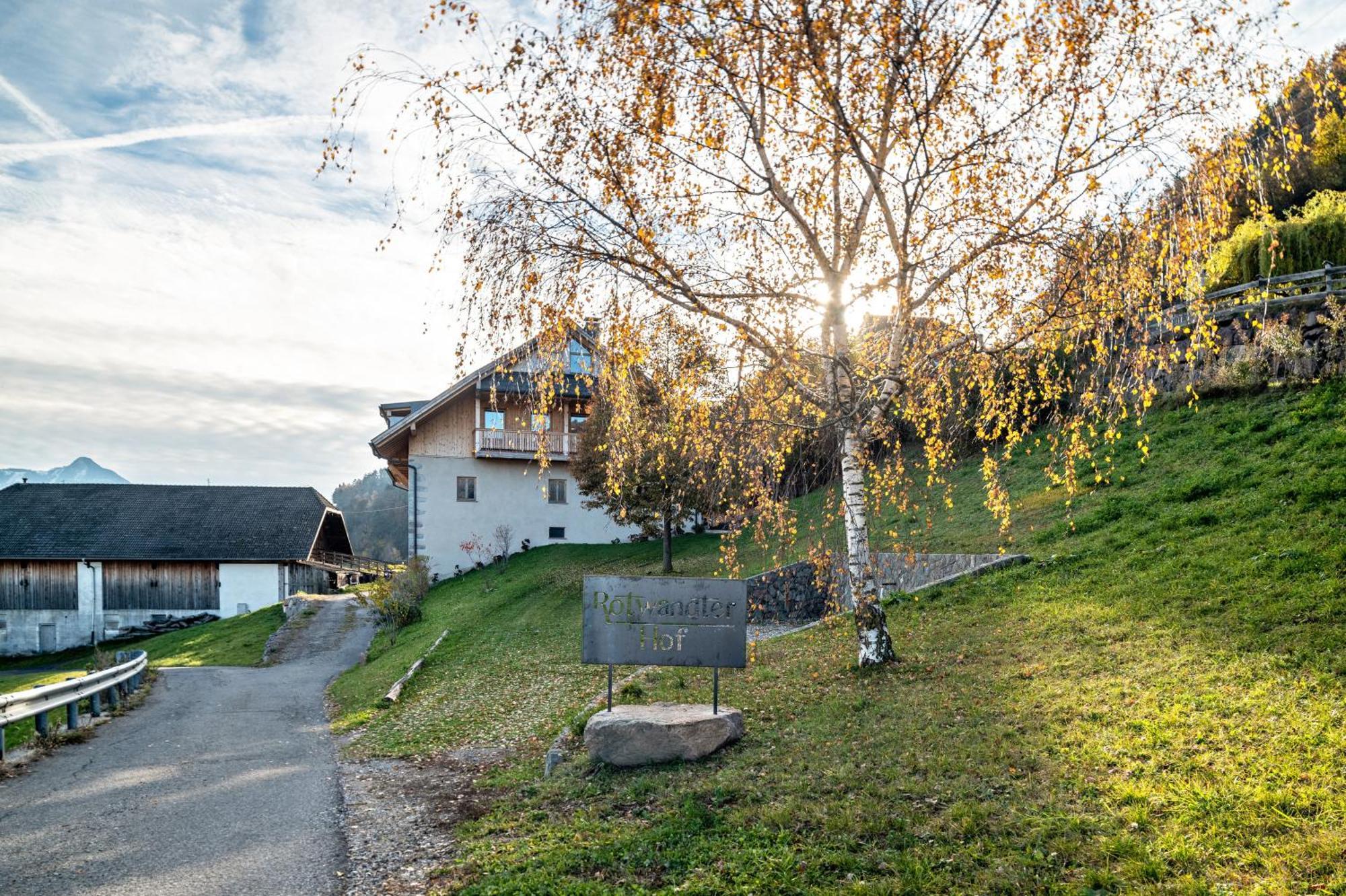 Rotwandterhof Wohnung Bienenstock Barbiano  Esterno foto